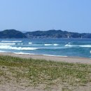 용화해변 Daum카페