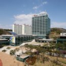 고루 엔디엔뉴스