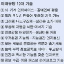 [지식분야] 미래유망 10대 기술 이미지