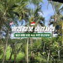 사리 | [발리 우붓 숙소]테갈사리 후기슈페리어 발코니룸 1박 4만원대 가성비·위치 솔직 리뷰