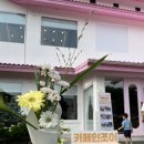카페인더문 - 창원시 진해구 | 카페인더문