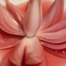 할매식당 이미지