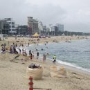 강원도 강릉 안목해수욕장 이미지