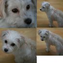 강남-019 이미지