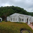 이다의숲 이미지