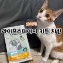 키튼코리아 | [ 오아지 라이프스테이지 키튼 치킨 ] 기호성 좋은 고양이 사료 아기 고양이 사료 키튼 사료 후기