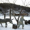 한국의 알프스 평창... 군 전체가 거대 관광단지 이미지