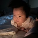 보라품안에 약국 | 3개월 아기 코로나 감염 후기 - 평온한 일상에서 응급상황까지의 48시간 기록