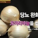 예강1길-1 이미지