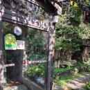 정자방길 | 아이랑 공주여행 중 먹은것들 - 고가네칼국수 / 카페 정자방길 부자떡집- 내돈내산