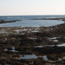 강정동-29 이미지