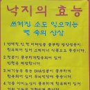 무안초등학교 병설유치원 이미지