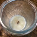 메일리데이 이미지