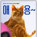 인춘당약국 이미지