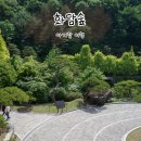곤지암리조트 화담숲 화담채 13개월 아기랑 여행 후기 (가까운 주차장, 입장료, 소요 시간, 예매 방법...