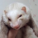 오광수산