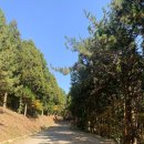 하단동171 이미지