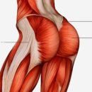 웨이브짐 이미지