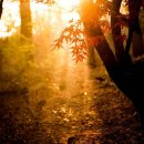 킴브로짐 헬스PT 이미지