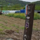성지산업사