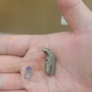 라온보청기 이미지