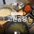 고원곰탕 | 횡성 고원곰탕 | 웰리힐리파크 근처, 대한민국 조리명인이 말아주는 진한 솥밥곰탕 맛집