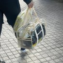 [사이판 여행] 마나가하섬 패러세일링 투어 예약 후기(+도시락, 시간,복장,준비물)