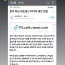 모글리몽 이미지