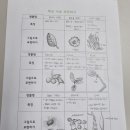 개림중학교 이미지