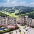 오크벨리 이미지