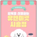 평촌중앙병원 | 💛 평촌먼치킨분양 후기｜짧은 다리의 매력, 사랑스럽고 순둥한 우리 아이