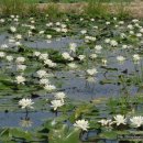 이승현농장 이미지