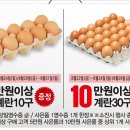 신교하
