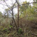 낙동1리마을회관 이미지