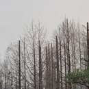 그랜드CC(회원제) | 인천그랜드CC｜3월말 야간라운딩 후기 feat. 그린상태는 안좋아요.