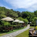 파티오-25 이미지