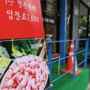 대패짱