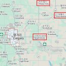 골든힐(Golden Hill) 이미지