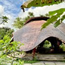 테라피요가 A 이미지