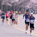 공설운동장길(공설운동장) 이미지