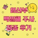 영광군보건소 | 임산부 백일해 예방접종 영광군 보건소 후기