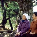 상천리-4 이미지