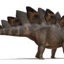 스테고사우루스-2 이미지