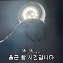 바셀메디칼 | 3월 비행일기: BKK🇹🇭, BCN🇪🇸, JFK🇺🇸, ICN🇰🇷, LHR🇬🇧