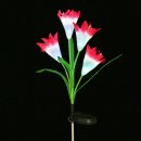 킴스마켓 이미지