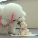 왈테이블 이미지