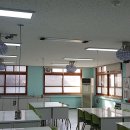 전주신성초등학교 이미지