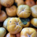 삼인농장 이미지