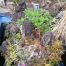 동그라미 민박 이미지