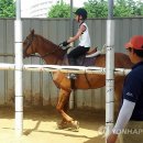 춘천승마장 이미지